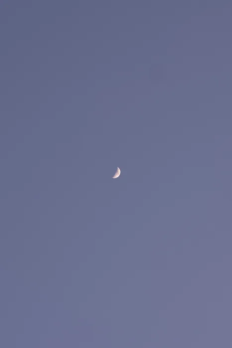 Although today was another very sunny, almost spring-like day, I was feeling quite uninspired. Today the view into the late evening sky has to serve as a photo.