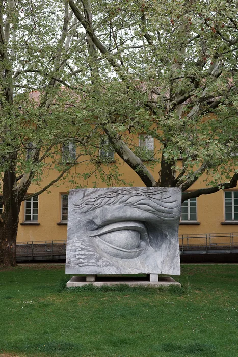 Photo from 2025-04-24