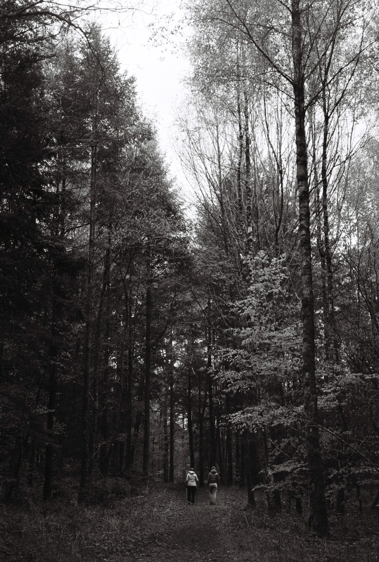 Analog photo with unknown date